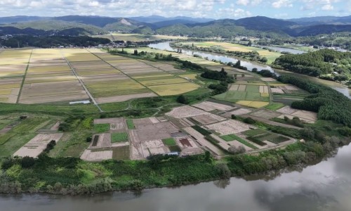 六咊地黄丸主冶功能专区_六丸地黄胶囊价格专区_六丸地黄丸有什么功效网